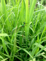 Similar image 21023889