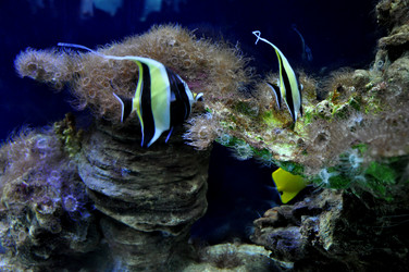 Similar image 21024008