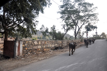 Similar image 21024012