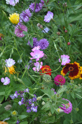 Similar image 21024248