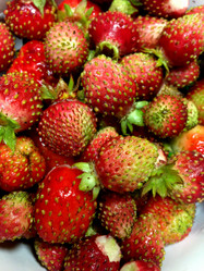 Similar image 21024252