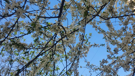 Similar image 21024253