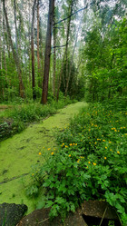 Similar image 21025473