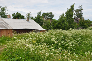 Similar image 21025478