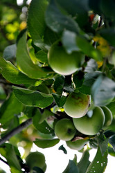 Similar image 21024264