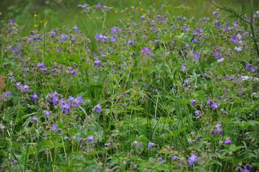 Similar image 21024265