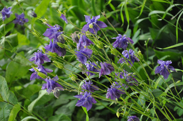 Similar image 21024266