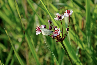 Similar image 21024268