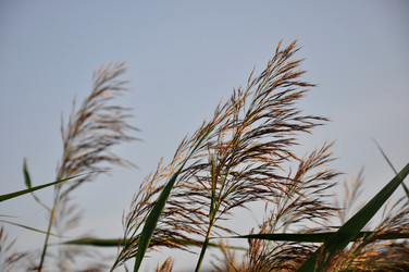 Similar image 21024270