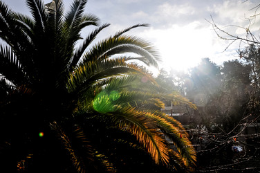 Similar image 21024282