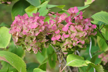 Similar image 21024525