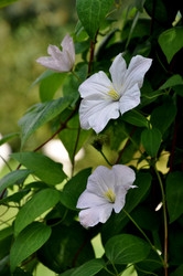 Similar image 21024526