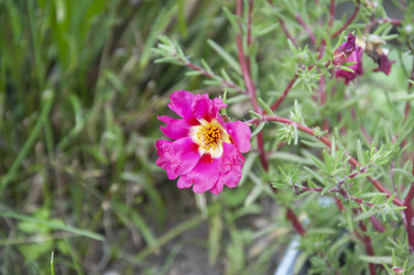 Similar image 21024527