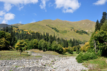 Similar image 21024545