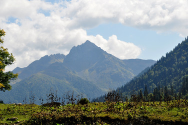 Similar image 21024546