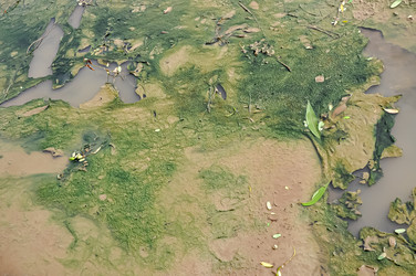 Similar image 21024550