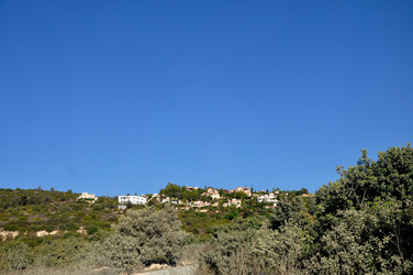 Similar image 21024552