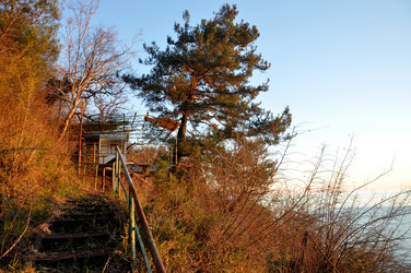 Similar image 21024556