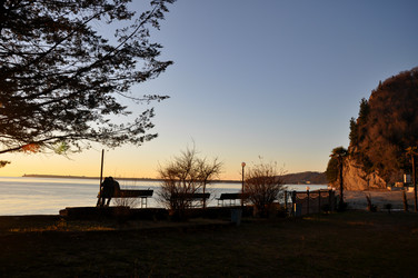 Similar image 21024561