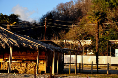 Similar image 21024569