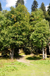 Similar image 21024571