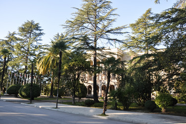 Similar image 21024694