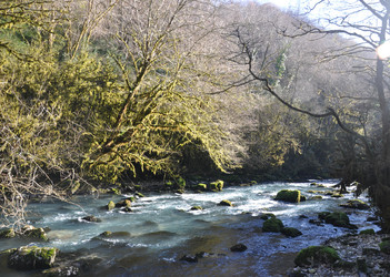 Similar image 21023667