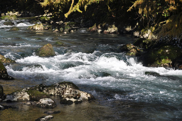 Similar image 21023669