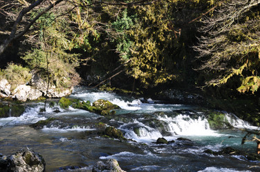 Similar image 21023766