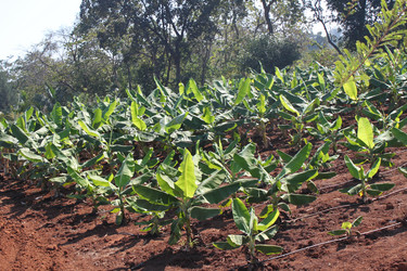 Similar image 21025428