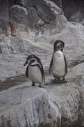 Similar image 21025432