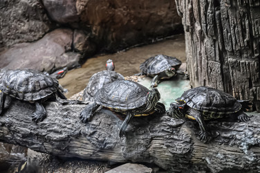 Similar image 21025481