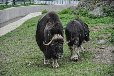 Similar image 21025486