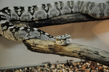 Similar image 21025487