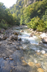 Similar image 21023911