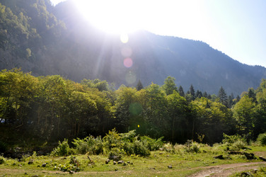 Similar image 21023913