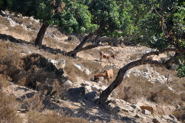 Similar image 21023915