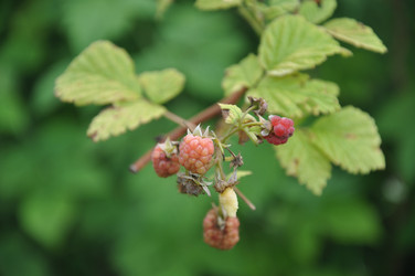 Similar image 21024045