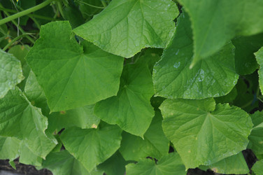 Similar image 21024046