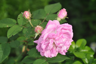 Similar image 21024048