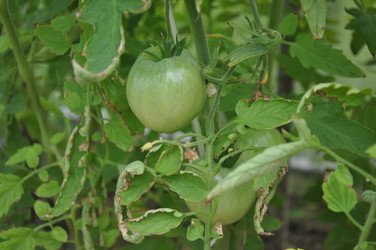 Similar image 21024049