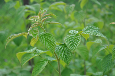 Similar image 21024050