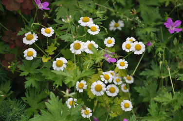 Similar image 21024572