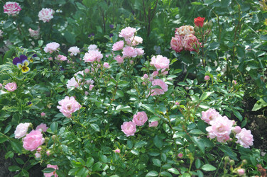 Similar image 21024574