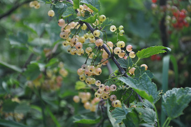 Similar image 21024575