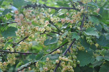 Similar image 21024576