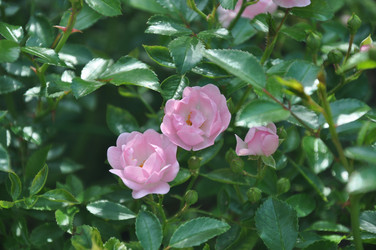 Similar image 21024578