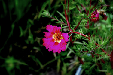 Similar image 21024579