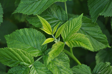 Similar image 21024581