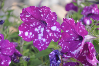 Similar image 21024582